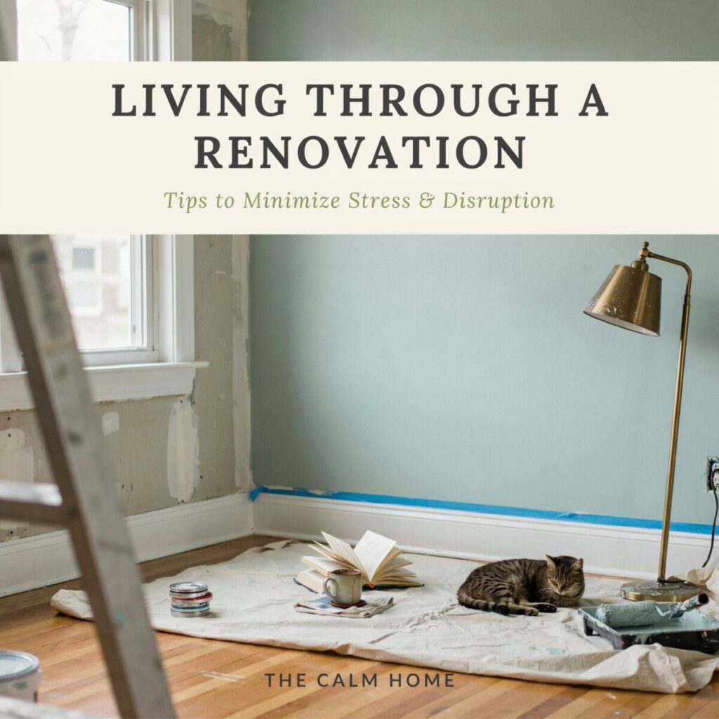 Living Through a Renovation